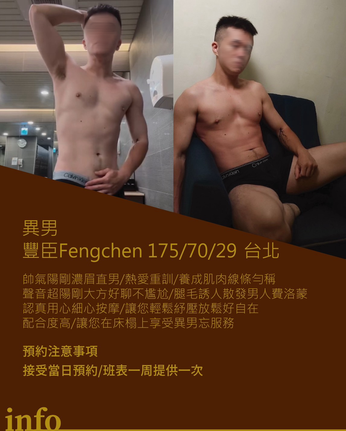 豐臣 fengchen